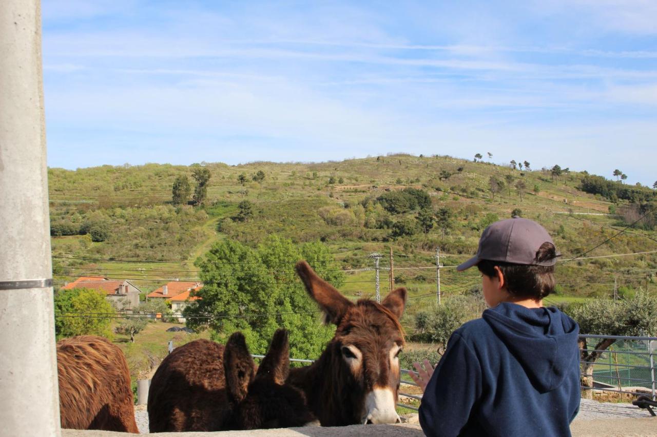 Freches Casas Do Aidro旅馆 外观 照片